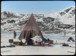Image of Tent pitched, Arctic hare